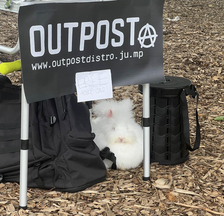 AMHERST PRIDE @ AMHERST, MA - 6/22/25